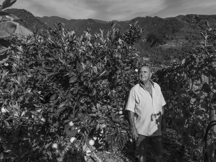 DSC08249-Editar copia