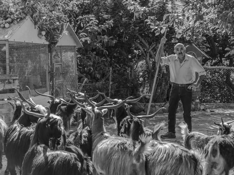 DSC08362-Editar copia